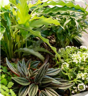 T.A. logo GROWGARDEN 0